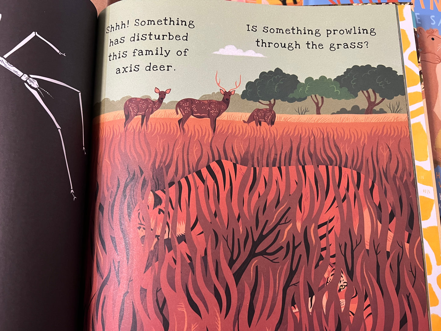 Shine A Light, Secrets of Animal Camouflage Book