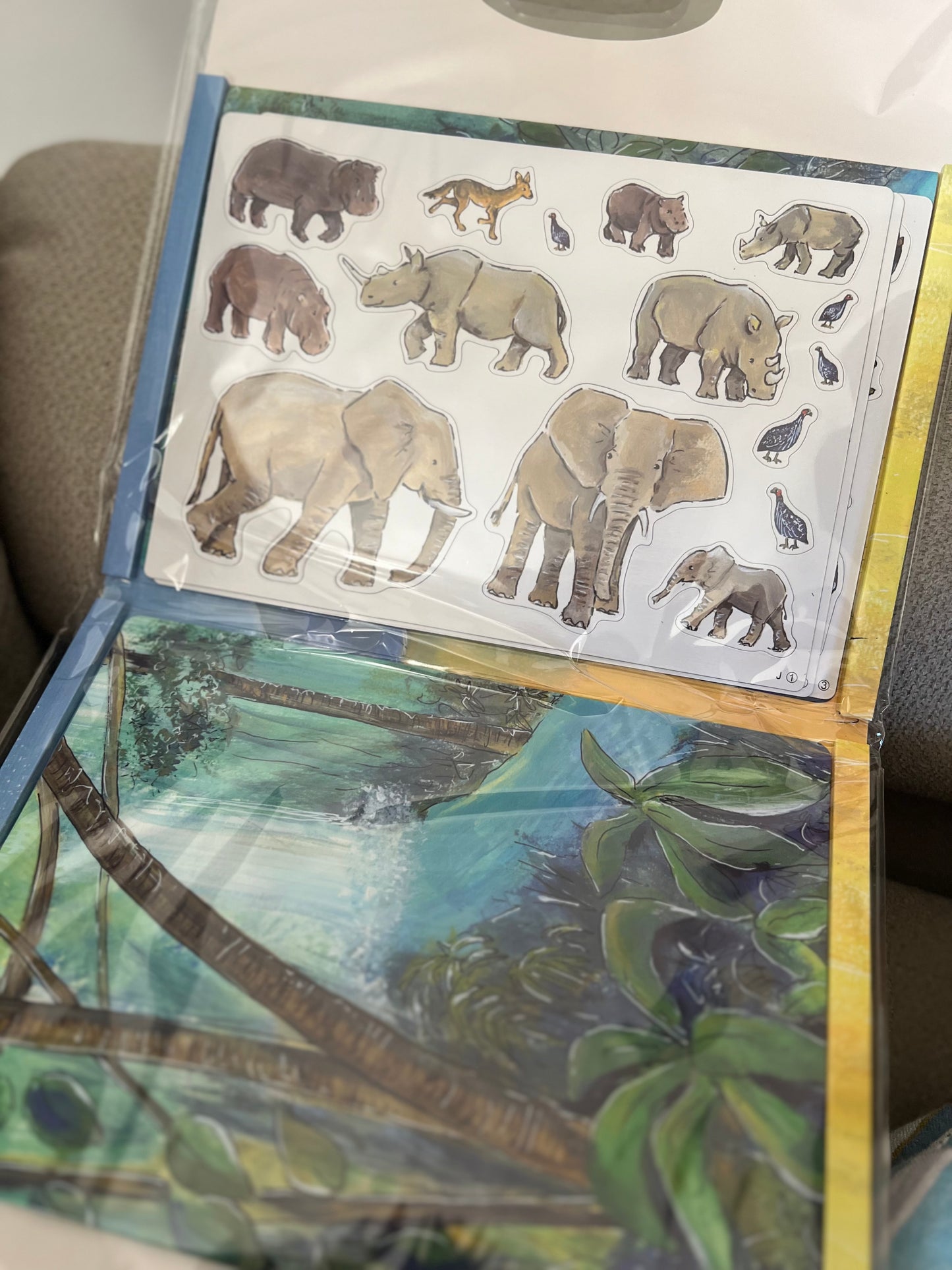 Savannah/Jungle Magnetic Activity