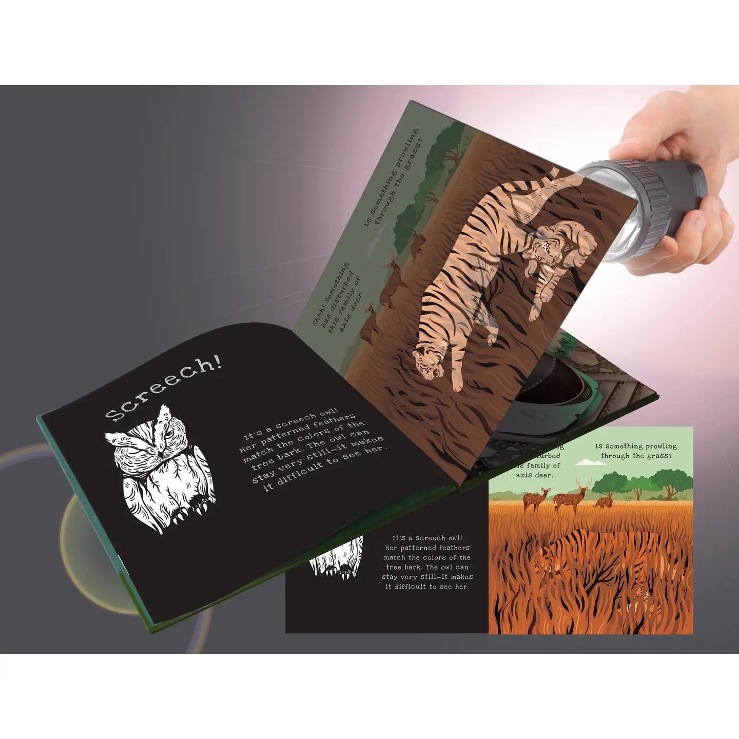 Shine A Light, Secrets of Animal Camouflage Book