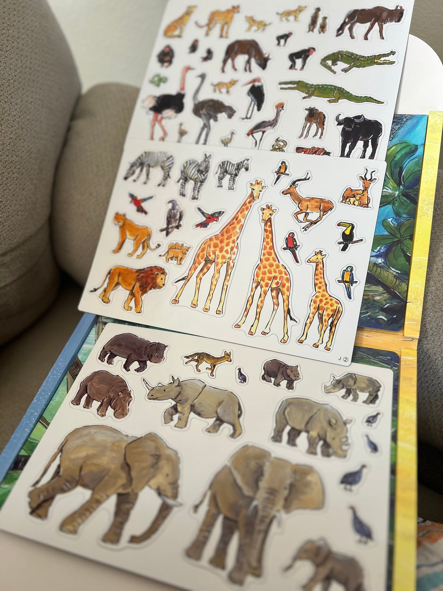 Savannah/Jungle Magnetic Activity