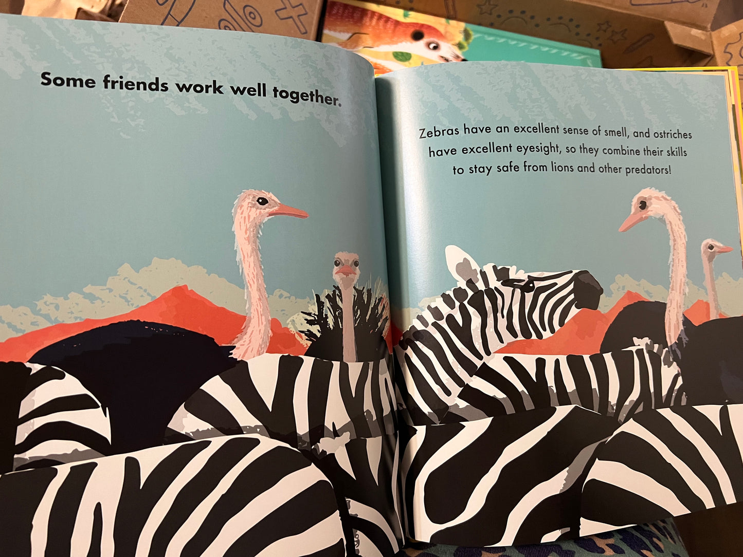 All Kinds of Animal Friends Book