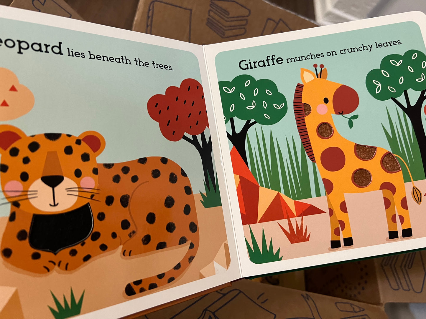 Animals of the Savanna Book