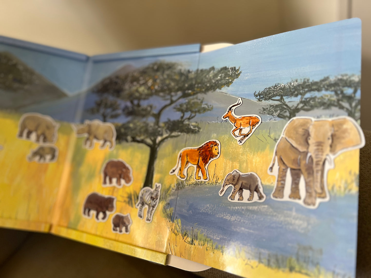 Savannah/Jungle Magnetic Activity